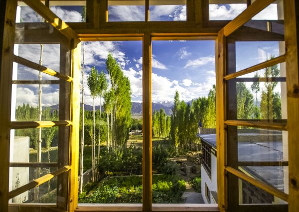 Cost of Wood Window Replacement in Garner